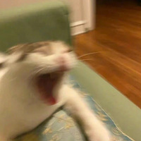 һҪһЩèè