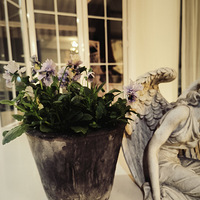 �ֵ����Ժú��ֻ��ļ�����