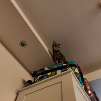 �컨�忪ʼ��ʯ����