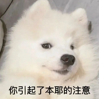 ʲôСڵİã˹Ŀ࿴
