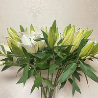 �ٺϳ��ÿ����ص��ǹ����͵�