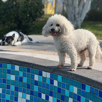 �����ҹ���ȱ���������ܵܵ�