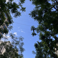 �������飬������ĸ��и�С��԰����ֱ�泩����~~~