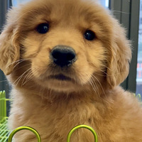 ��ë������ǹ���ů�еĴ���