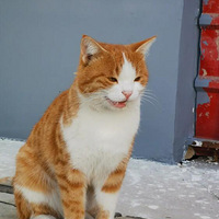 ����һ�µ�λ��С����