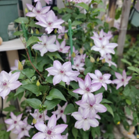 һ�굽ͷΪ��æ