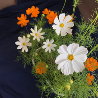 һ����Ӣ�ĵ���