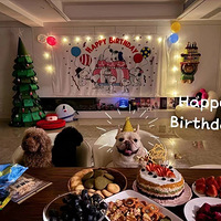 ���������������ɶ�