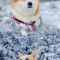 ƽ��ҹ��ƻ��