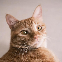 ���������ɵ�һ���꣬������֤��������