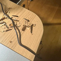 ���棡�Ҽ�è��ྐྵ��ӣ�������Ƥ