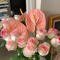 ��ɯ����Դ��˾� û��Ů�˲�ϲ���򻨰�