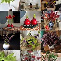 ����ֲ���š����췢��ȫ��20+�����ʣ���������3֧69��ɱɽķ