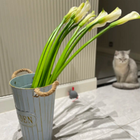 ��һ������������������ȴ�Ѳ�����