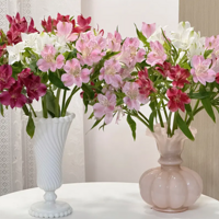 �ҵĻ��ͻ�ƿ����ƿ��Ҫ������