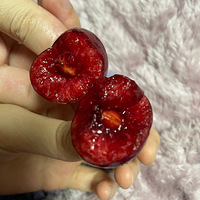 15ﳵˣѳԵѳԵ