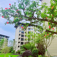 ��פ�����������֮һ��127ƽ�������鷿����¼ȫ����