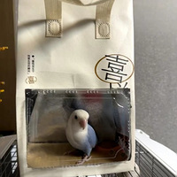 вţ̫в