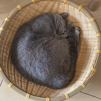 еĸ˯
