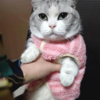 ϰ㣬ϰruaèȳ衿