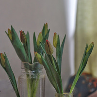 29.9Ŀ