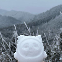 ɽѩ