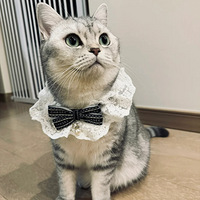 輧èΧù԰ȻǶʺٵ