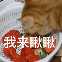 2024ڻˣƻᡢ̻㡢껨