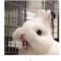 ϵ࣬