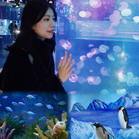 ѧˣֺ˶ɡ