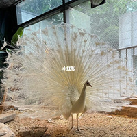 ûһȥɫ⹫԰ģϵҡ