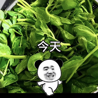 ⼸춼ڳʲô