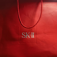 ͼ۳ձרصװSKIIˮСݾ