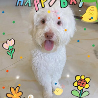 �������Һ��ҼҺ���������������~�������ȳ衿