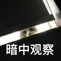 2024꣡ЩҪϾС졢й԰......