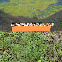ͽҰл磬켣