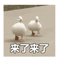 ŮѱƷࣿʷḻֳˡ