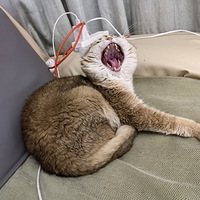 ⲻҪ˸¼Сڵʱ