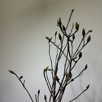Ḭ̄ˣ19.9յ