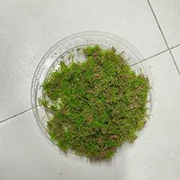 ·߼̦޺ǰְװ
