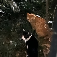 ĺͷԹϵ