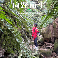 ҵĻ췢ȴ