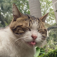 ôСè˯˯ˮ