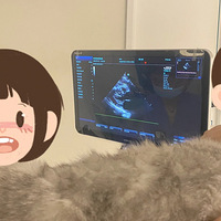 컹бҪȻ֪èĸ