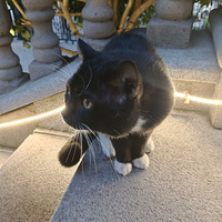 ˭Ҫè䣿۸