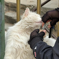 Ȼ˸ú԰ҰèָףǷе㳣ʶò