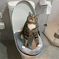 ˼è ý̾ͻͰĪϱǸ
