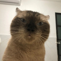 һһСèհԲ ĿЦˣ
