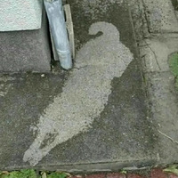 ˮڼ̻֮ܺ߳ˣɶ
