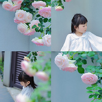 ھֵĻҲ̫